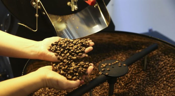 Safra de 2023 está prevista em 299,7 milhões de toneladas de grãos, aponta IBGE