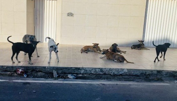 1AC2D051-B32F-4EED-AB00-DC68EF841C06