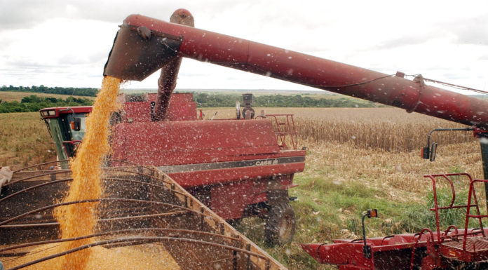Agropecuária continua a liderar o desempenho de exportações em abril