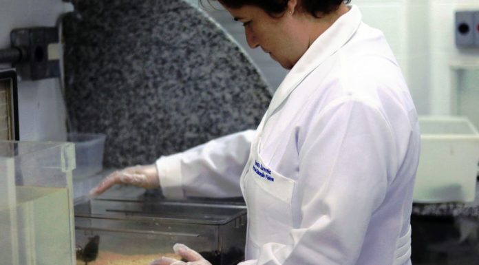 Projeto de Lei visa aumentar participação de mulheres em pesquisas médicas