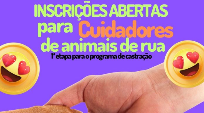 Cabrobó: inscrições abertas para cuidadores de animais de rua