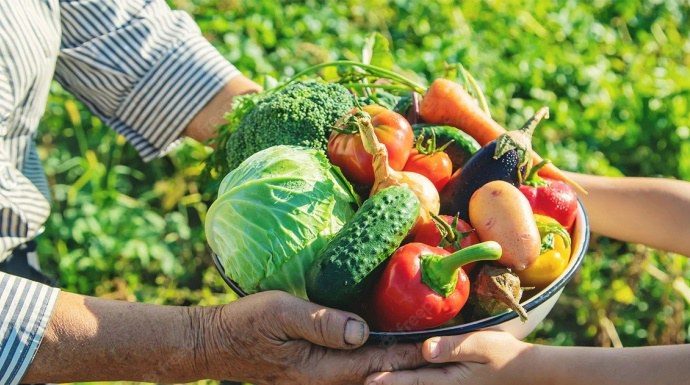 Crédito do BNDES para agricultura familiar aumenta 277% no Norte e Nordeste