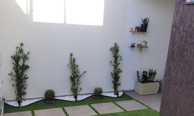 Escolher o paisagismo e as plantas certas para cada ambiente interno da sua casa é essencial para criar um ambiente acolhedor e harmonioso