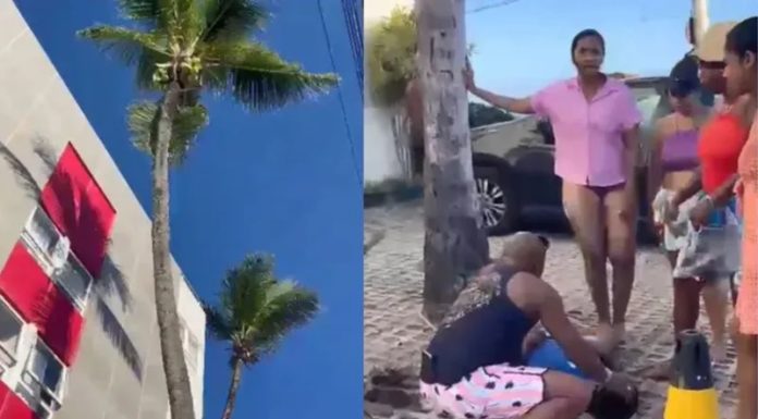 Homem morre após cair de coqueiro com 10 metros de altura em Salvador