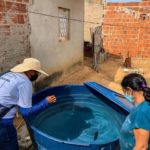 Combate à Dengue: Secretaria de Saúde oferta mutirão em dois bairros de Petrolina nesse sábado