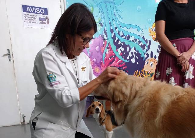 TREINA CAOTERAPIA HDM PETROLINA (3) (1)