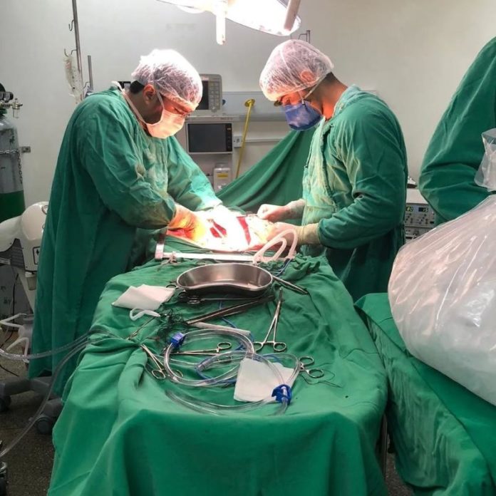 Fonte-Liga Acadêmica de Transplante de Tecidos e Órgãos do Vale do São Francisco