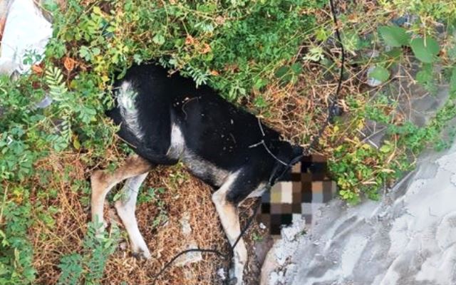 370122456_293033766919876_4346294560619042838_n