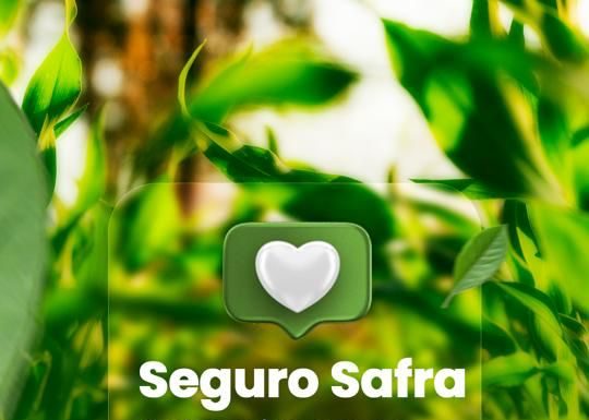 Prefeitura do Salgueiro investe quase R$100 mil reais e conclui pagamento da contrapartida do Seguro Safra 2022/2023