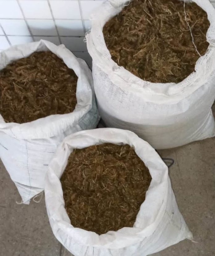 WhatsApp Image 2023-10-14 at 09.12.56