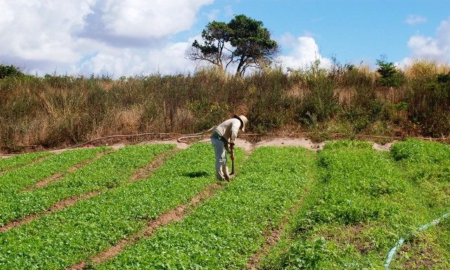 Abaré-BA: Agricultores do Projeto Pedra Branca cobram respostas sobre o Garantia Safra