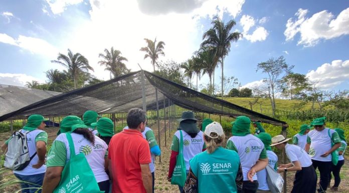 Alunos do curso Técnico em Fruticultura participam de visita técnica em propriedade no Agreste