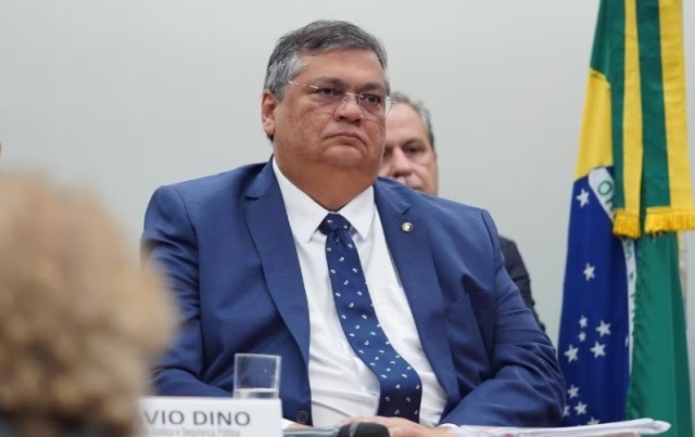 Flavio Dino STF