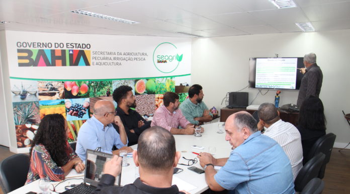 Maior exportador de frutas frescas do Brasil, Bahia discute ações de prevenção e combate à mosca da carambola