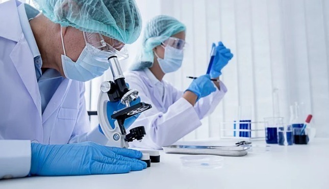 WhatsApp Image 2023-11-26 at 12.26.27