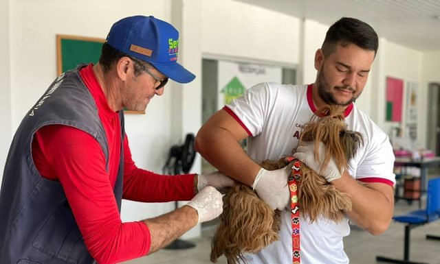 Granito: Mobilização da ‘Vacinação Antirrábica’ segue em ritmo acelerado