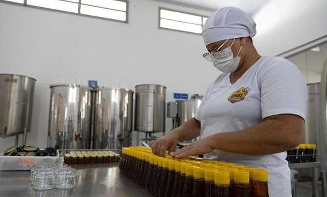 Codevasf participa em Brasília (DF) de evento nacional na área da apicultura