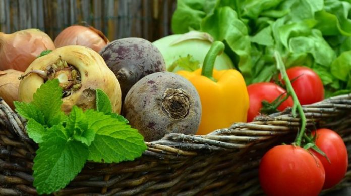 agrotoxicos-alimentos