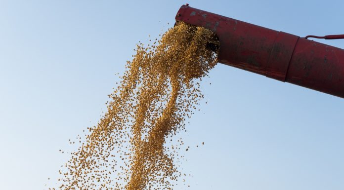 Conab aponta crescimento da safra de grãos da Bahia para 2023/2024