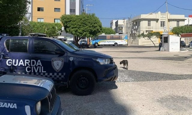 Forças de Segurança Pública de Petrolina prendem suspeito por homicídio na Praça Dom Malan