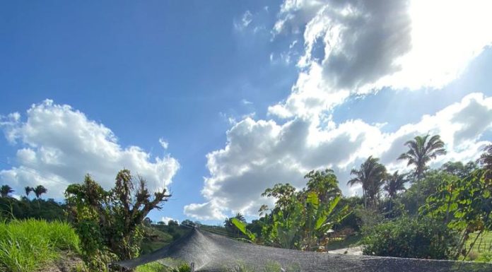 Inscrições para cursos técnicos da gratuitos encerram nesta sexta-feira (19)