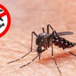 Dengue: saiba como identificar os sintomas e prevenir a doença