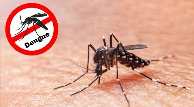Dengue