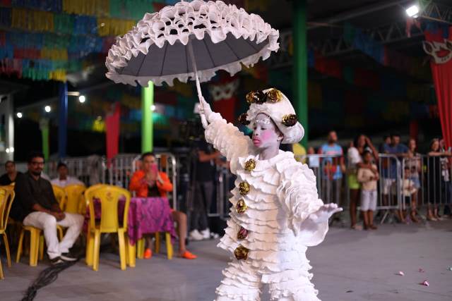 Fantasia Infantil de Papel primeiro colocado