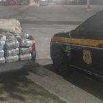 162 Kg de maconha são apreendidos pela PRF em São Caetano