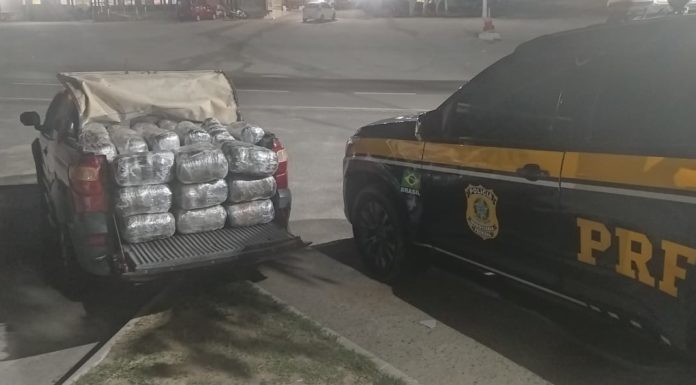 162 Kg de maconha são apreendidos pela PRF em São Caetano