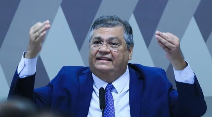 Dino afirma que GLO poderá ser prorrogada por seis meses e estendida ao Nordeste