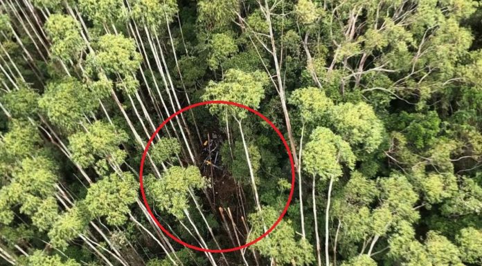 Helicóptero desaparecido há 12 dias em São Paulo é localizado em Paraibuna