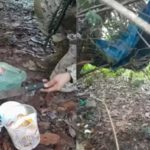 Mossoró: força-tarefa encontra esconderijo usado por fugitivos de presídio federal