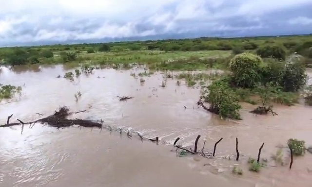 Segundo dados do IPA choveu em quase todos os municípios do Sertão de Pernambuco