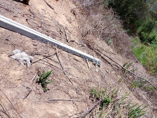 WhatsApp Image 2024-02-10 at 21.33.28