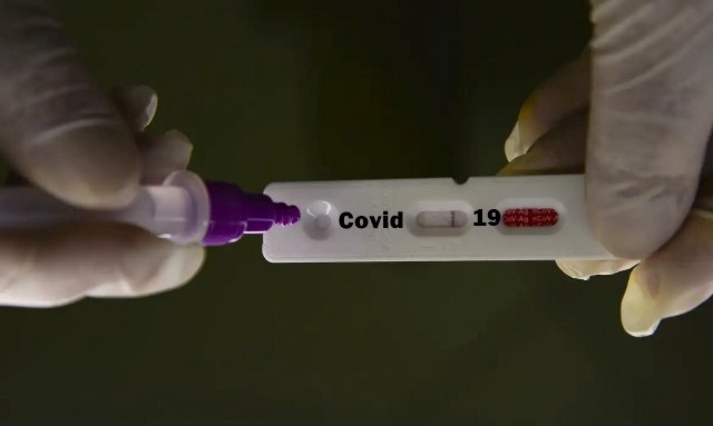 WhatsApp Image 2024-02-19 at 21.10.53