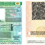 Desconto na renovação da CNH de pessoas de 50 anos ou mais é aprovada em comissão do Senado